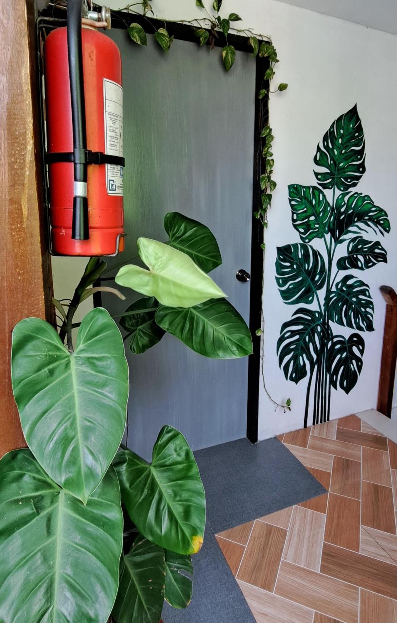 Bougainvillea Guesthouse San Juan  Extérieur photo